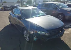 1HGCS2B87CA009719: 44487961