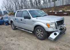 1FTFW1EF3DFA59106: 44487990