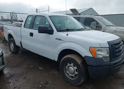 1FTFX1EV9AFC98496: 44488060