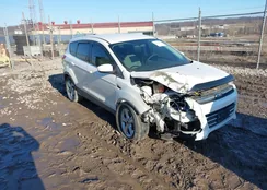 1FMCU9GX0FUA75836: 44488107