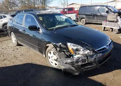 3HGCM56487G702034: 44488217