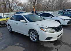 1N4AL3APXGN349016: 44491035