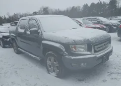 5FPYK1F58BB011197: 44491053