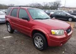 1FMYU04135KB42991: 44491258