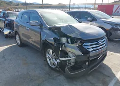 5XYZWDLA0DG091143: 44490534