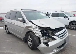 5FNRL38865B087647: 44491698