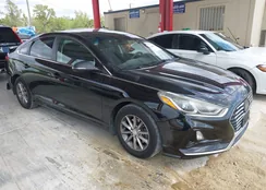 5NPE24AF3JH678529: 44491701