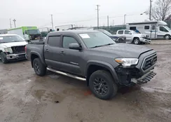 3TMCZ5AN2LM323784: 44491903