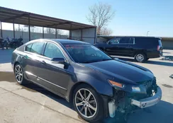 19UUA8F5XDA012061: 44491918