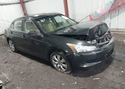 1HGCP2F76AA137675: 44491919