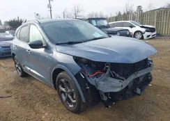 1FMCU0MZXRUA60072: 44491503