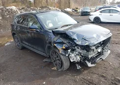 JM3KFBDM3J0461136: 44491565