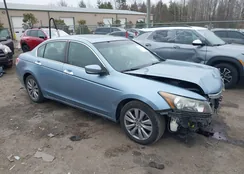 1HGCP3F80BA003440: 44492564