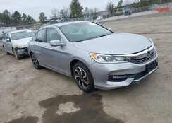 1HGCR2F06GA152263: 44493814