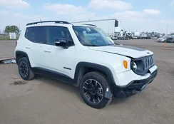 ZACNJDB13PPP68816: 44493304