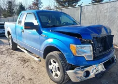 1FTFX1EV7AFD63474: 44493361