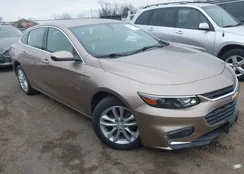 1G1ZD5ST7JF169746: 44494707