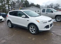 1FMCU9GX5FUB37893: 44494890