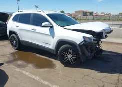 1C4PJLLXXKD129073: 44495209