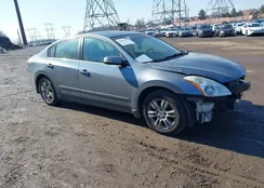 1N4AL2AP6AN558142: 44495231