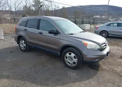 5J6RE4H36BL049469: 44496239