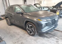 5NMJFCAE1PH250209: 44496705