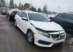 19XFC2F50HE039951: 44496853