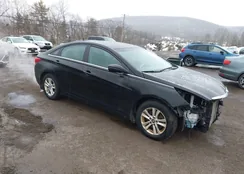 5NPEB4AC9DH683860: 44497077