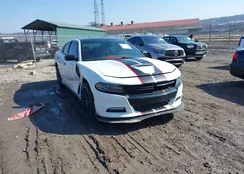 2C3CDXJG3FH779117: 44496435