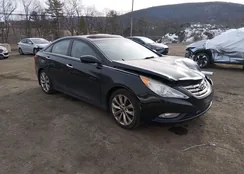 5NPEC4AC5DH651839: 44496478