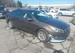 5NPE24AF2GH346221: 44498965