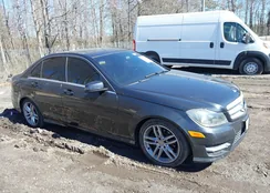 WDDGF4HB2DR253984: 44499264