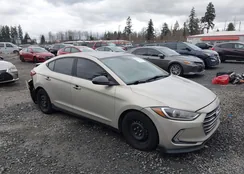 KMHD74LF5HU111633: 44499769