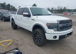 1FTFW1ET0DKE18313: 44500786