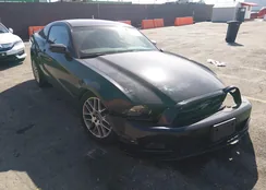 1ZVBP8AMXE5233752: 44500948