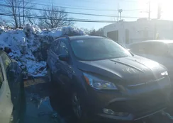 1FMCU9G92DUB27871: 44501040