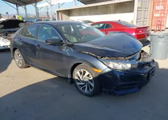 19XFC2F71GE228656: 44500628