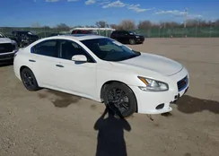 1N4AA5AP9CC811489: 44501697