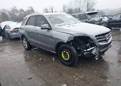 4JGDA5HB3CA016463: 44501838