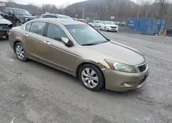 1HGCP36808A087011: 44501904