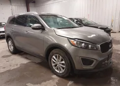 5XYPGDA31JG410893: 44501429