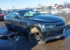 1G1FB1RS3H0114593: 44501436