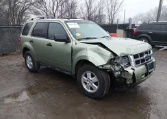 1FMCU03168KB42998: 44501480