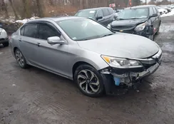 1HGCR2F8XHA002566: 44502938