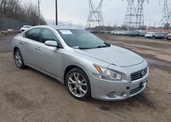 1N4AA5AP7EC463260: 44503097