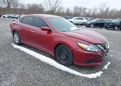 1N4AL3APXGC256038: 44502272