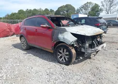 KNDPB3AC1E7548185: 43505849