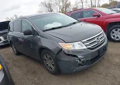 5FNRL5H47BB023556: 43506734