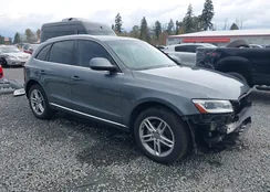 WA1LFAFPXDA014245: 43507694