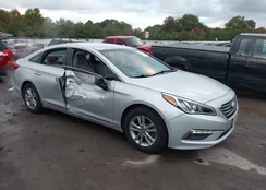 5NPE24AF5FH073452: 43507301